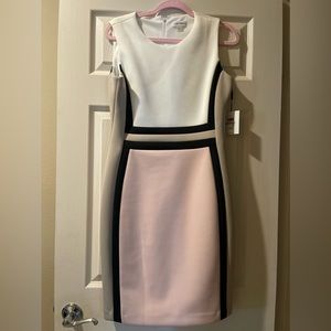 Calvin Klein Dress size 12 brand new with tag pink white beige